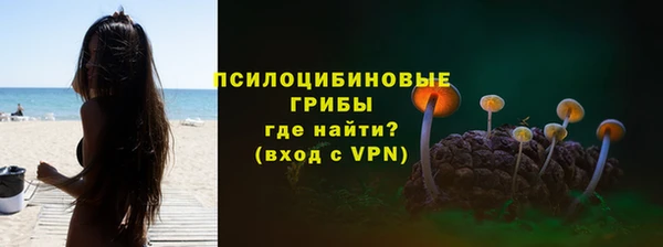 трава Кулебаки