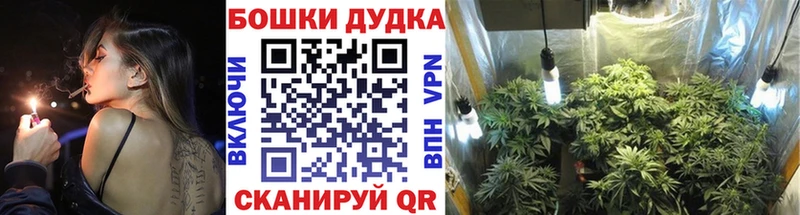 Каннабис SATIVA & INDICA  Купить закладки  Севастополь 